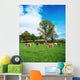 Hereford Bullocks Wall Mural