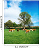 Hereford Bullocks Wall Mural