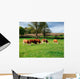 Hereford Bullocks Wall Mural