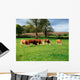 Hereford Bullocks Wall Mural