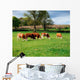 Hereford Bullocks Wall Mural