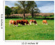 Hereford Bullocks Wall Mural