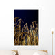 Wheat Wall Mural