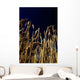 Wheat Wall Mural