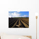 Potato Field, Ireland Wall Mural
