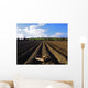Potato Field, Ireland Wall Mural