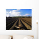 Potato Field, Ireland Wall Mural