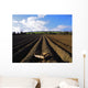 Potato Field, Ireland Wall Mural