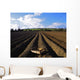 Potato Field, Ireland Wall Mural
