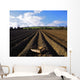 Potato Field, Ireland Wall Mural