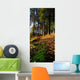Woods During Autumn Wall Mural