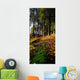 Woods During Autumn Wall Mural