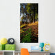 Woods During Autumn Wall Mural