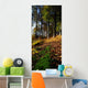 Woods During Autumn Wall Mural