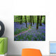 Bluebell Wood, Near Boyle, Co Roscommon, Ireland Wall Mural