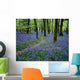 Bluebell Wood, Near Boyle, Co Roscommon, Ireland Wall Mural