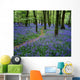 Bluebell Wood, Near Boyle, Co Roscommon, Ireland Wall Mural