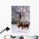 Thoroughbred Horses, Mares In Snow, Ireland Wall Mural