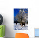 Thoroughbred Horses, Mares In Snow, Ireland Wall Mural