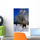 Thoroughbred Horses, Mares In Snow, Ireland Wall Mural