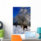 Thoroughbred Horses, Mares In Snow, Ireland Wall Mural