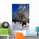Thoroughbred Horses, Mares In Snow, Ireland Wall Mural