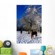 Thoroughbred Horses, Mares In Snow, Ireland Wall Mural