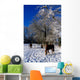 Thoroughbred Horses, Mares In Snow, Ireland Wall Mural