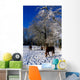 Thoroughbred Horses, Mares In Snow, Ireland Wall Mural