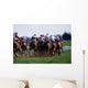 Horse Racing Wall Mural