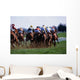Horse Racing Wall Mural
