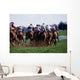 Horse Racing Wall Mural