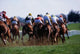 Horse Racing Wall Mural