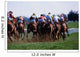 Horse Racing Wall Mural