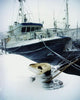 Fishing Trawler, Howth Harbour, Co Dublin, Ireland Wall Mural