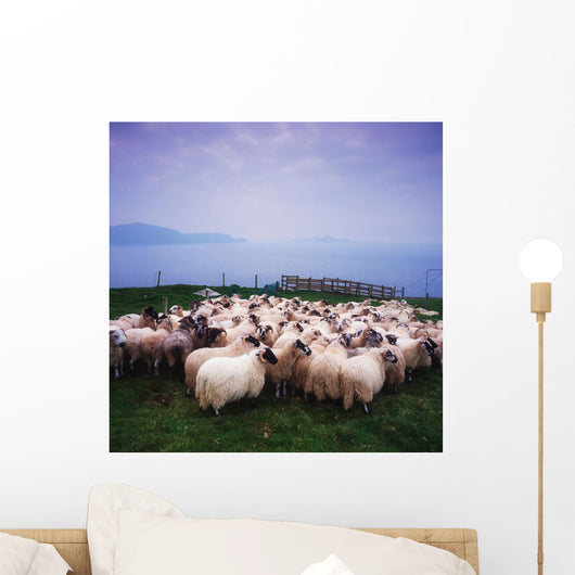 Herding Sheep, Inishtooskert, Blasket Islands,Co Kerry, Ireland Wall Mural