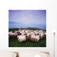 Herding Sheep, Inishtooskert, Blasket Islands,Co Kerry, Ireland Wall Mural