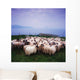 Herding Sheep, Inishtooskert, Blasket Islands,Co Kerry, Ireland Wall Mural