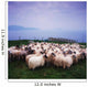 Herding Sheep, Inishtooskert, Blasket Islands,Co Kerry, Ireland Wall Mural