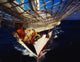 Sailing, Figurehead On The Prow Of A Yacht, Ireland Wall Mural