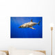 Great White Shark Wall Mural