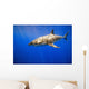 Great White Shark Wall Mural