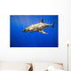Great White Shark Wall Mural