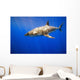 Great White Shark Wall Mural