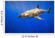 Great White Shark Wall Mural