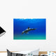Bottlenose Dolphin Wall Mural