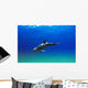 Bottlenose Dolphin Wall Mural