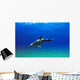 Bottlenose Dolphin Wall Mural
