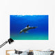 Bottlenose Dolphin Wall Mural