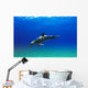 Bottlenose Dolphin Wall Mural